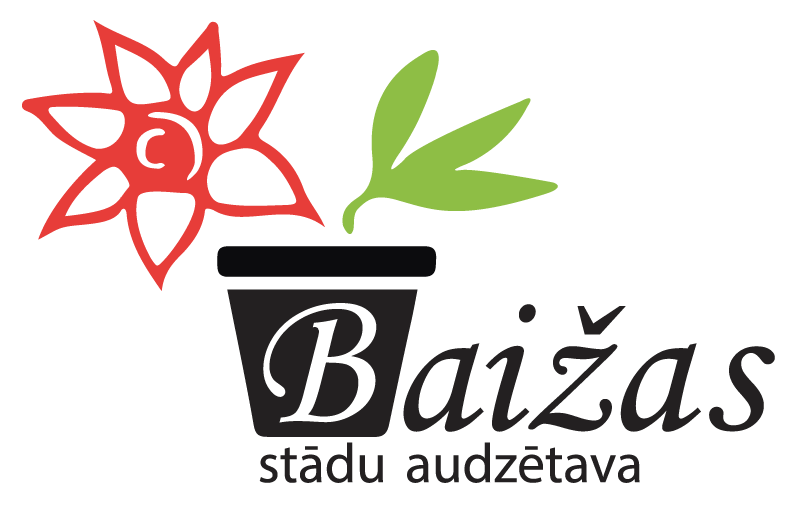 Baižas Stādaudzētava, SIA